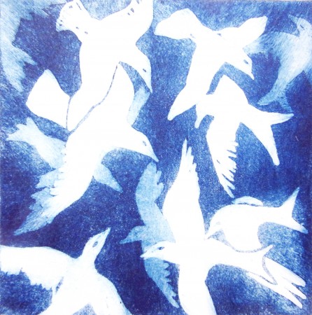oiseaux bleus (gravure)